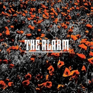 In The Poppy Fields